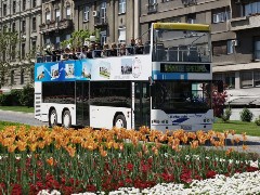 Belgrade Sightseeing by Bus