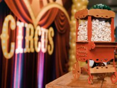 Circus Delavega