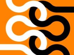 Solidarity as a Challenge