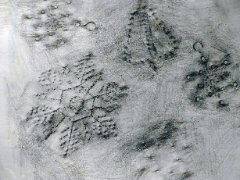 A Journey Across the Object's Surface