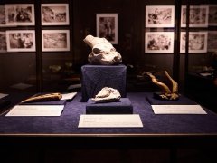 Fossilorama and Mineralis